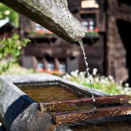 Bergquell Haus D Blatten bei Naters